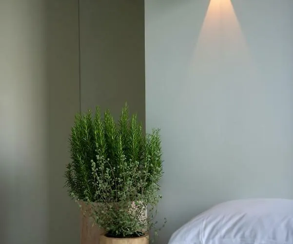 C-rooms Nocleg ze śniadaniem 3*