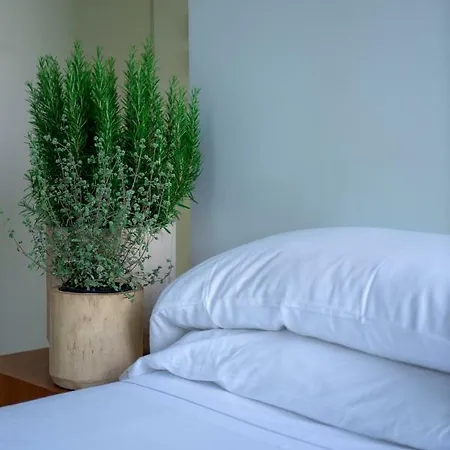 Bed & Breakfast C-rooms 3*